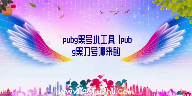 「pubg黑号小工具」|pubg黑刀号哪来的